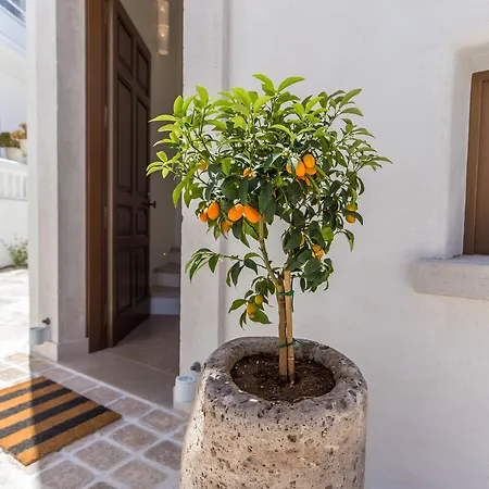 Anagram (adults Only) Hotel 2*