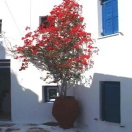 Anagram (adults Only) Szálloda Mykonos Town