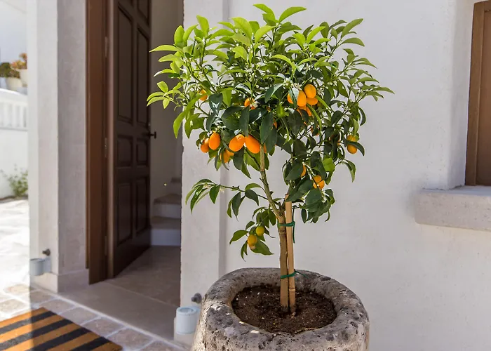 Anagram (adults Only) Hotel 2*